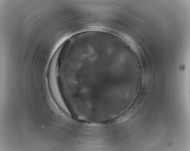 X0000091950899200709061238