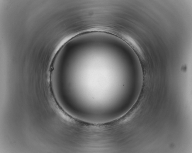 X0000091950900200709061238