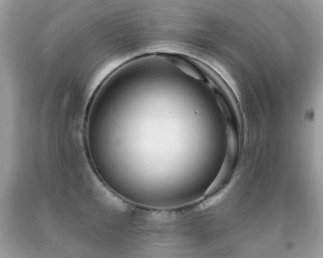 X0000091950901200709061238