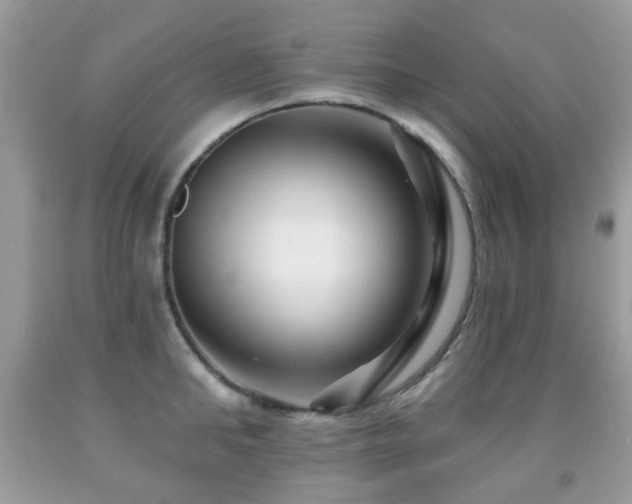 X0000091950902200709061238