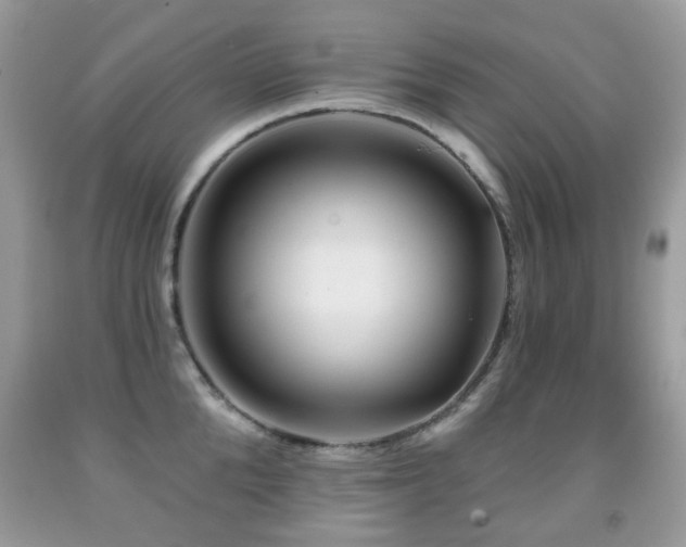 X0000091950904200709061238