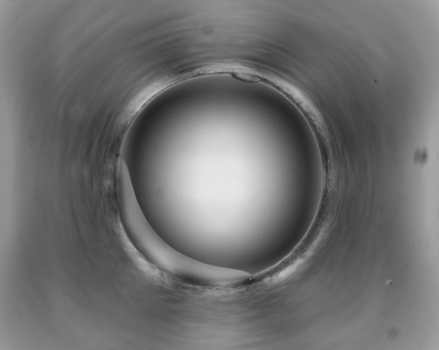 X0000091950905200709061238