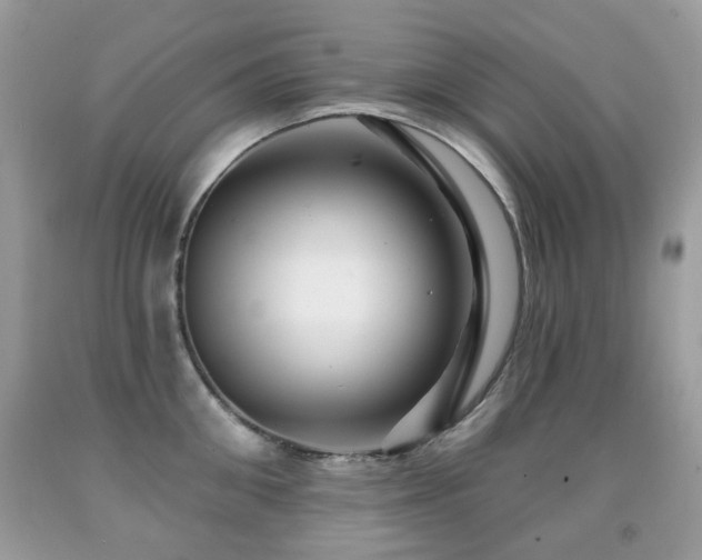 X0000091950906200709061238