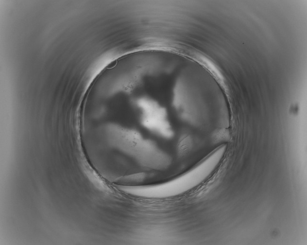 X0000091950907200709061238