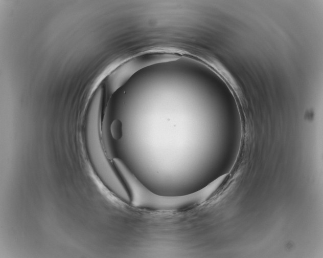 X0000091950909200709061238