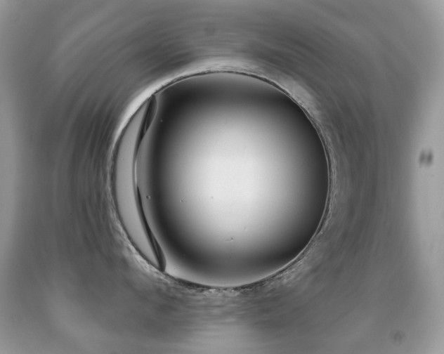 X0000091950912200709061238