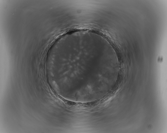X0000091950913200709061237