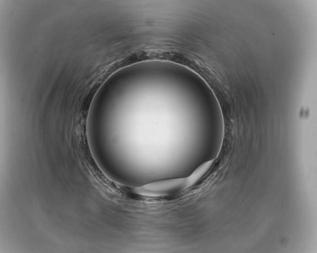X0000091950914200709061237