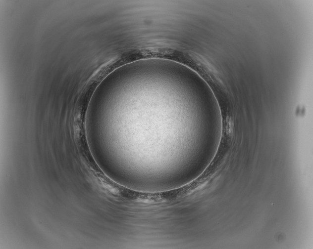X0000091950915200709061237