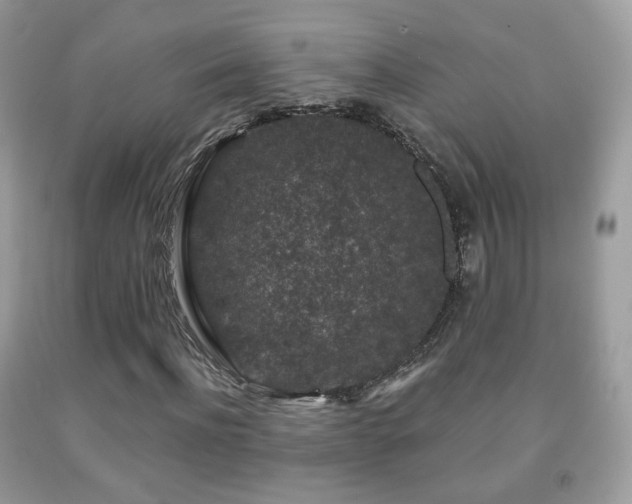 X0000091950916200709061237