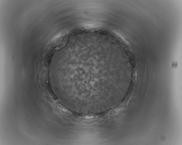 X0000091950917200709061237