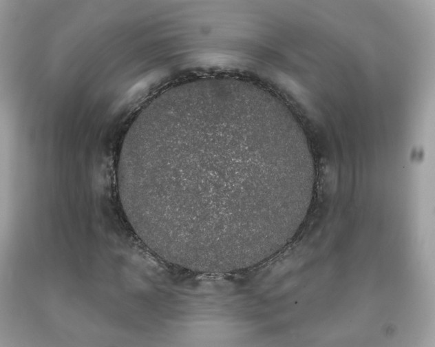 X0000091950918200709061237