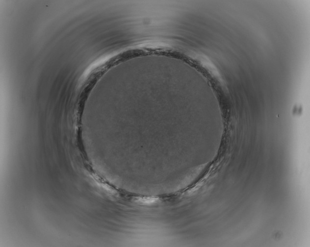 X0000091950920200709061237