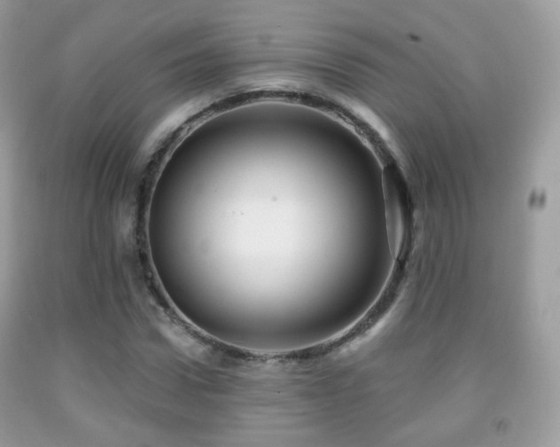 X0000091950922200709061237