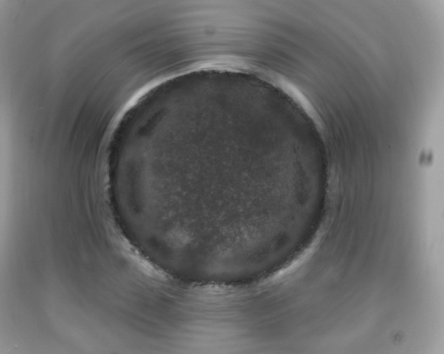 X0000091950923200709061237