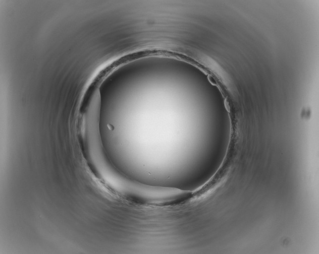 X0000091950924200709061237