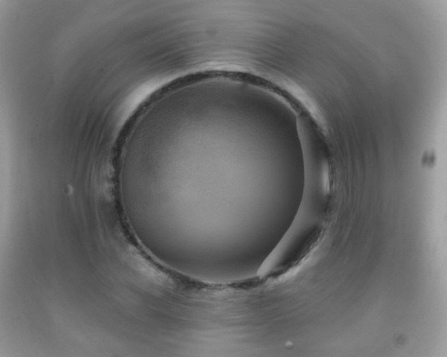 X0000091950926200709061237