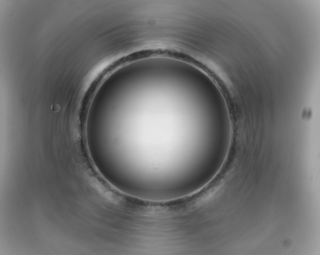 X0000091950927200709061237