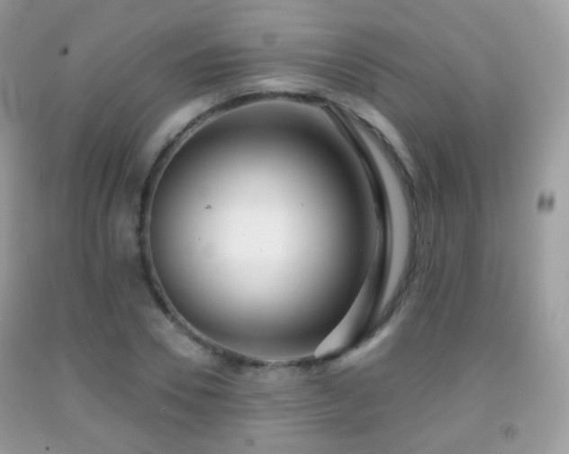 X0000091950930200709061237