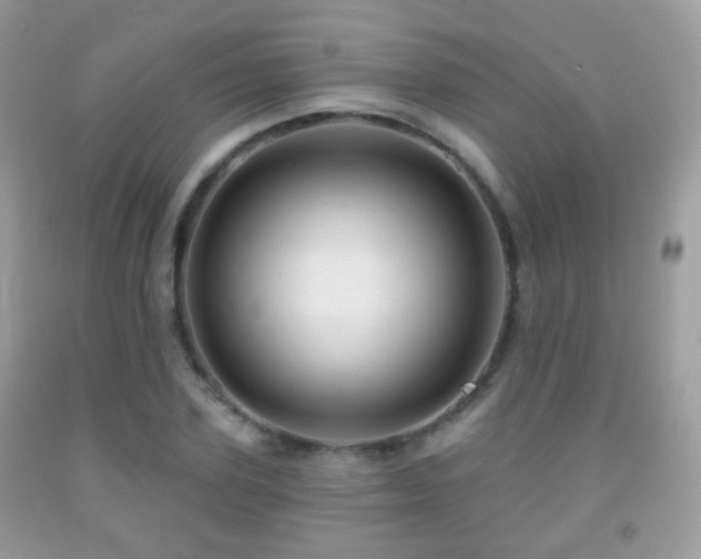 X0000091950931200709061237