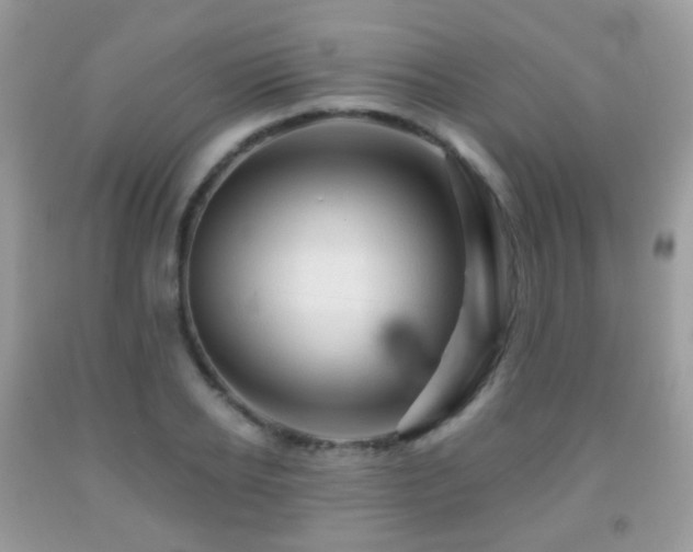 X0000091950934200709061237