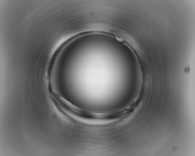 X0000091950936200709061237