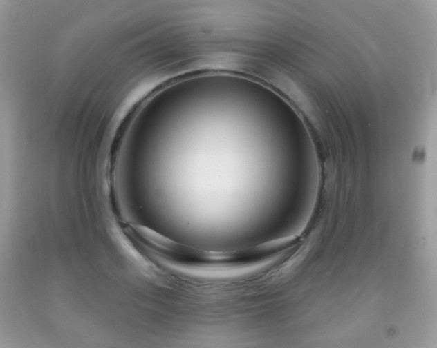 X0000091950939200709061237