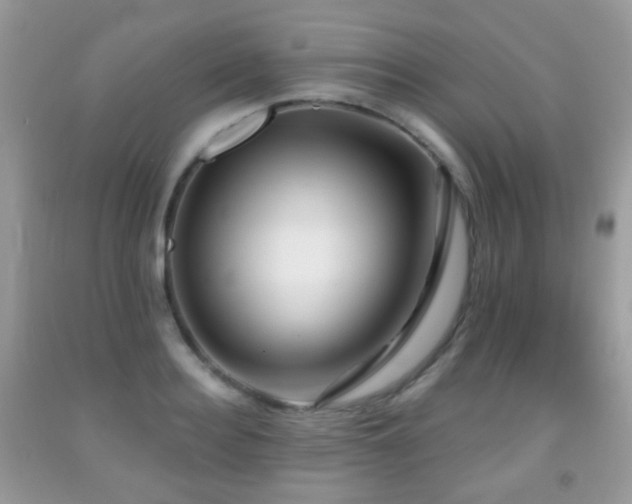 X0000091950940200709061237