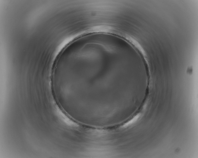 X0000091950941200709061237