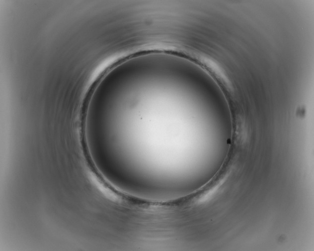 X0000091950942200709061237