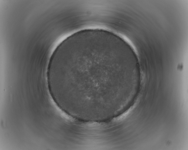 X0000091950943200709061237