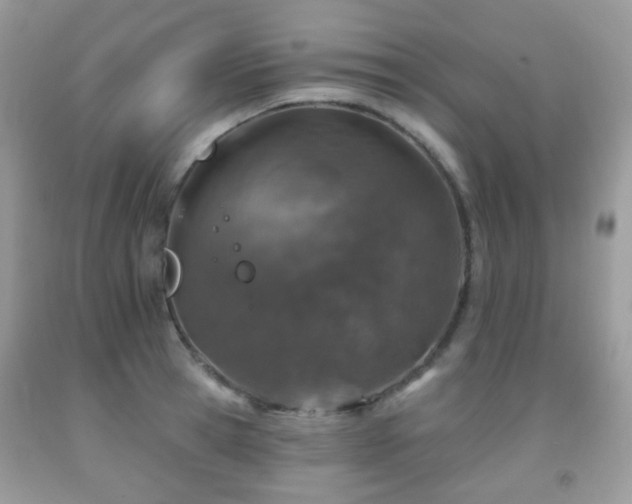 X0000091950945200709061237