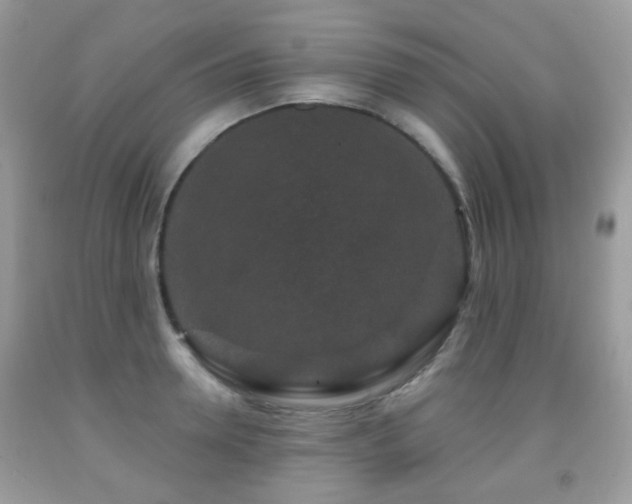 X0000091950946200709061237