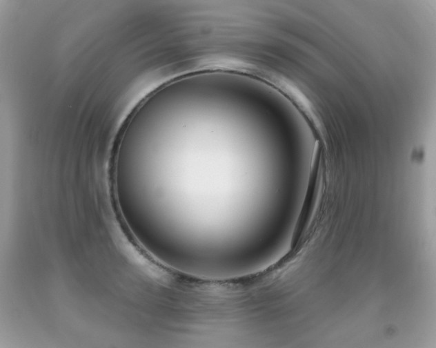 X0000091950947200709061237