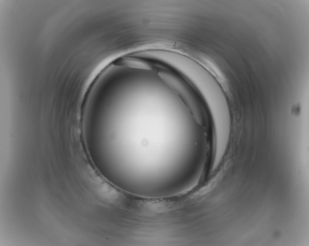 X0000091950948200709061237
