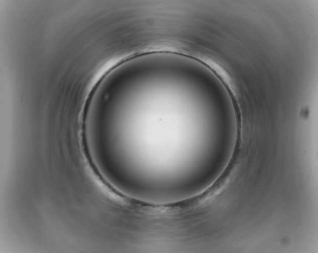 X0000091950949200709061237
