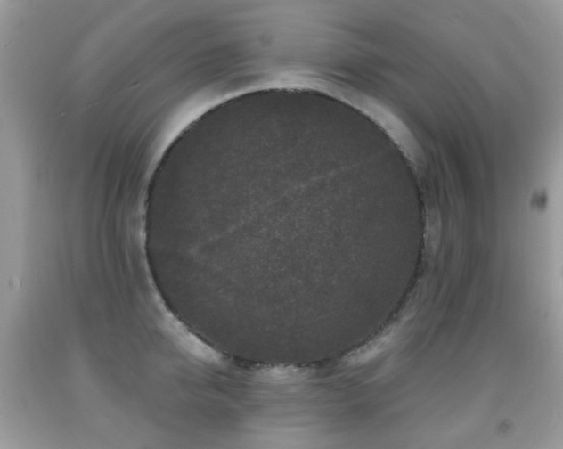 X0000091950950200709061237