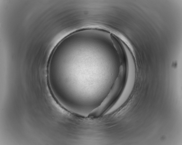 X0000091950951200709061237