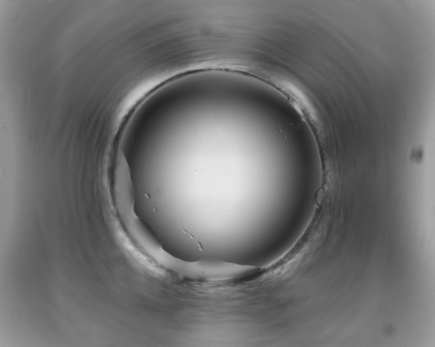 X0000091950952200709061237