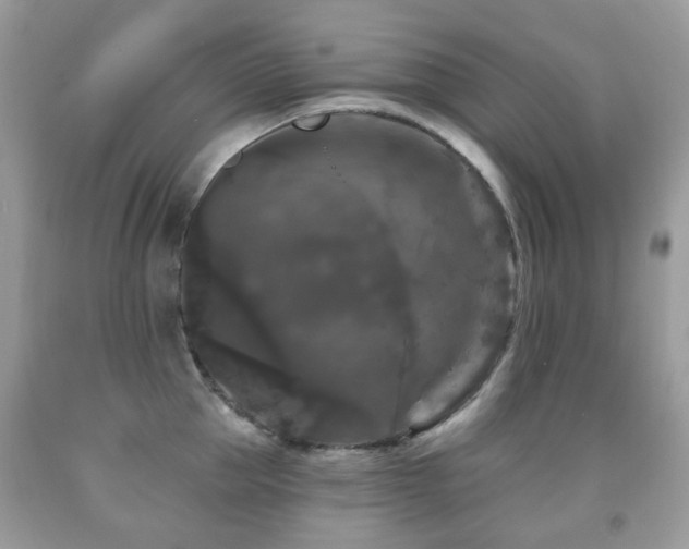 X0000091950953200709061237