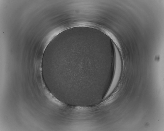 X0000091950954200709061237