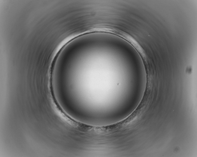 X0000091950955200709061237