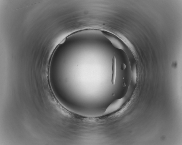 X0000091950956200709061237