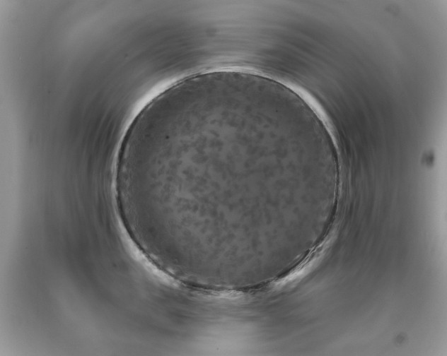 X0000091950957200709061237