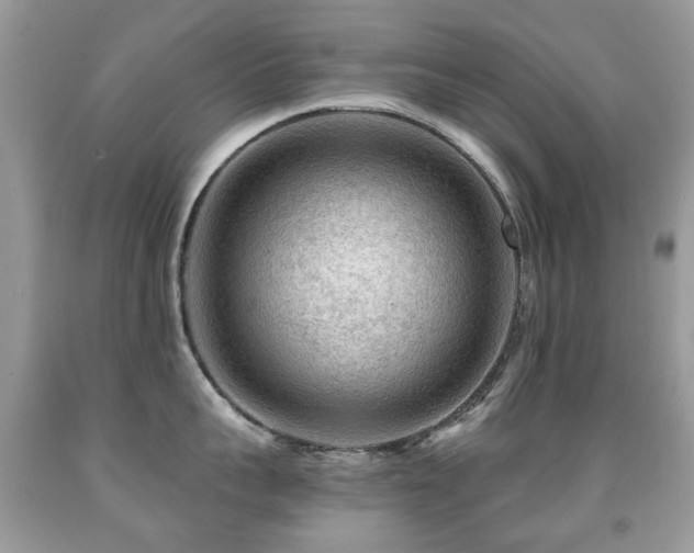 X0000091950959200709061238