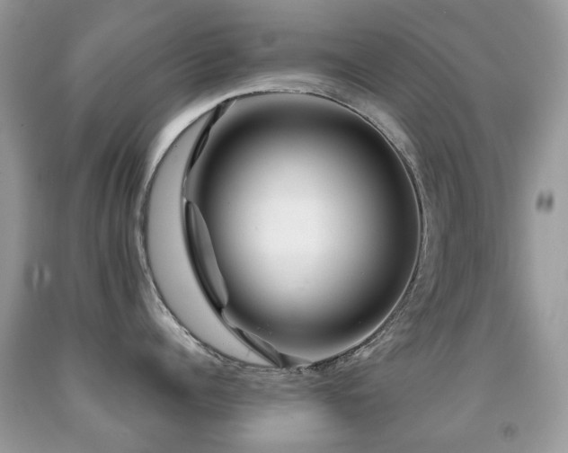 X0000091950960200709061238