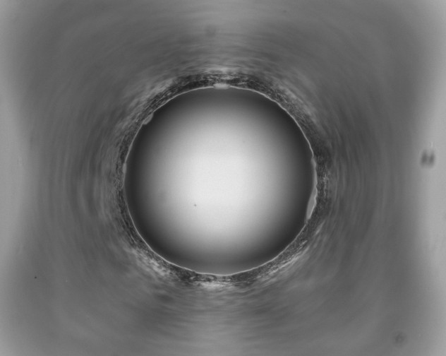 X0000091950961200709061237