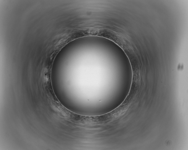 X0000091950962200709061237