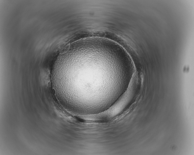 X0000091950963200709061237