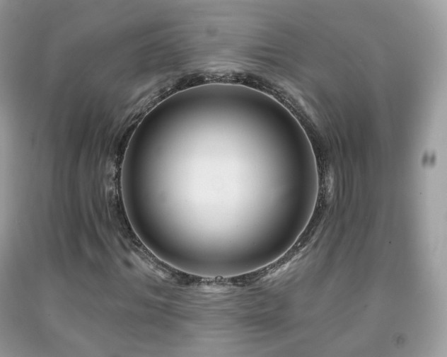 X0000091950964200709061237